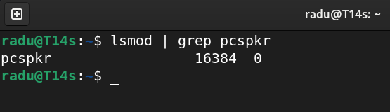 pcspkr1